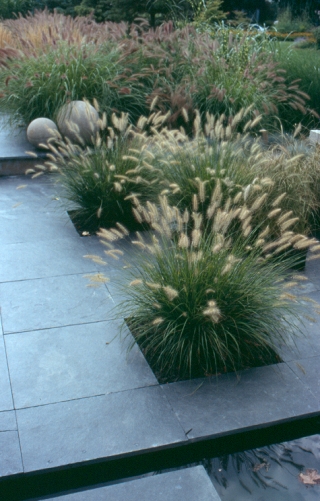 Port Dalhousie (modern grasses) Old